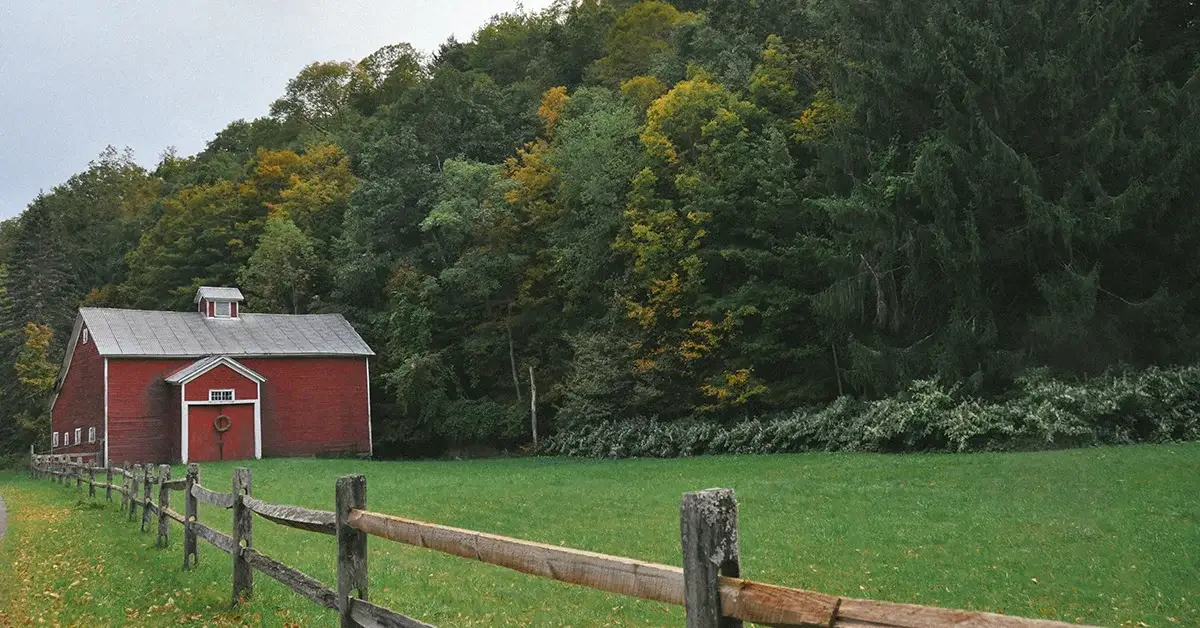 An angled view of a red barn with a metal roof with a forest running parallel to a green pasture.